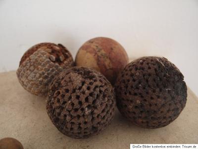 Das Foto zeigt (vermutlich) sehr alte Kugeln, z. T. sind die N&auml;gel inzwischen rausgefallen.